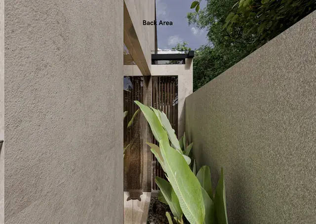 Backyard Area